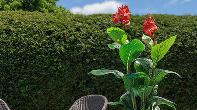 Plantes artificielles