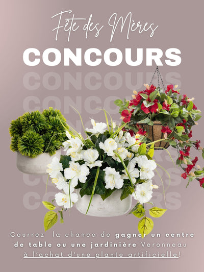 Plantes artificielles (CONCOURS ET RABAIS)