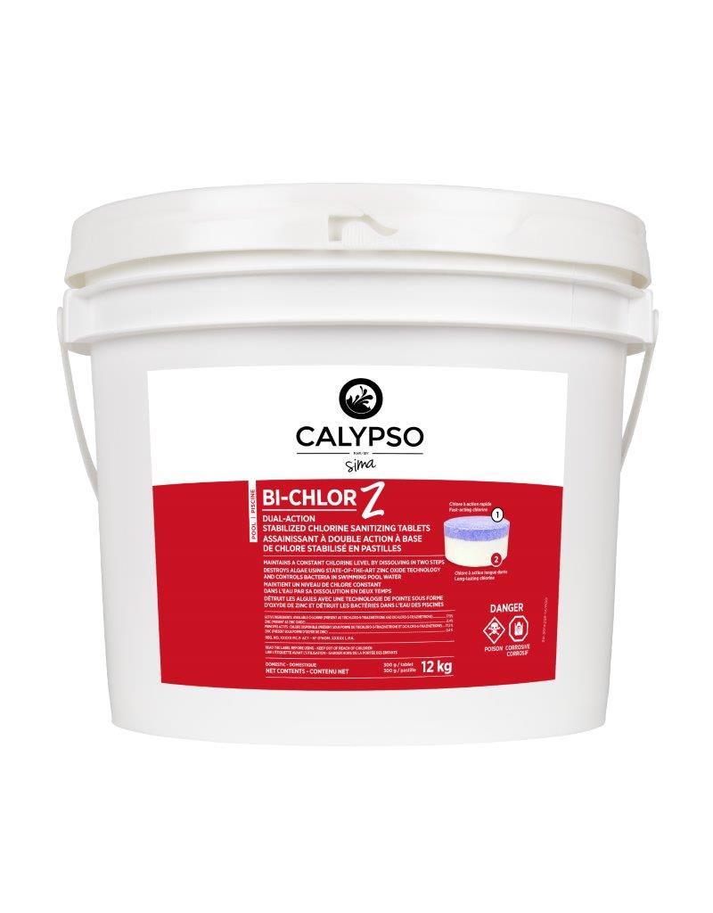 Bi-Chlor Z Calypso Puck Bi-Chlore/Zinc Stabilisées 12kg