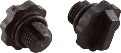 Bouchon Drain 1/4 - 18NPSM Pompe Carvin / Jacuzzi (1)