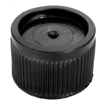 Bouchon Drain Filtre W/Gasket