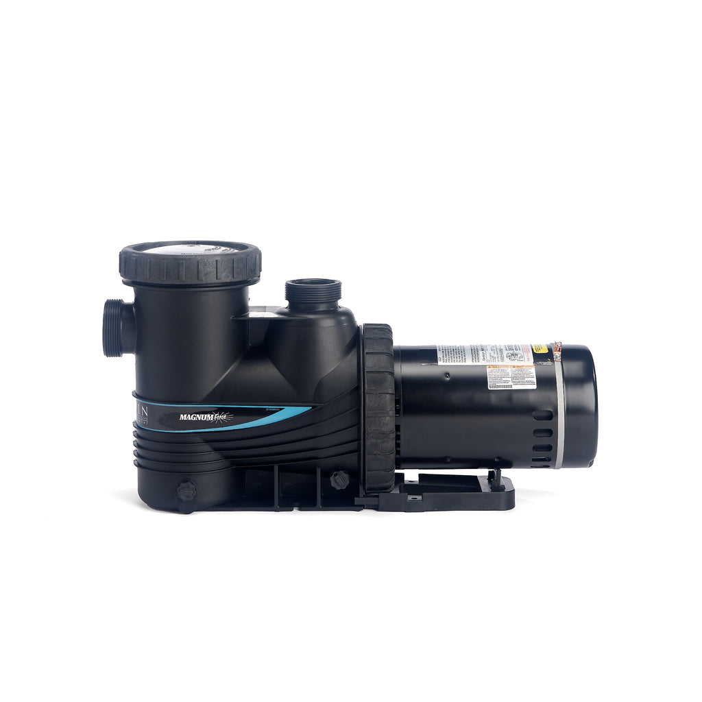 Pompe Magnum Force 2"/0.75hp/115v/230v pour Piscine Creusée (Subvention)