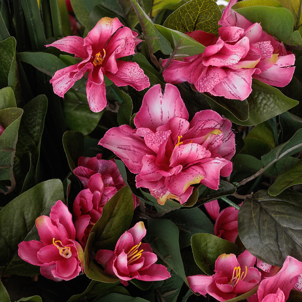 Jardinière d'Azalées Roses & Dracaena Pot Pâle