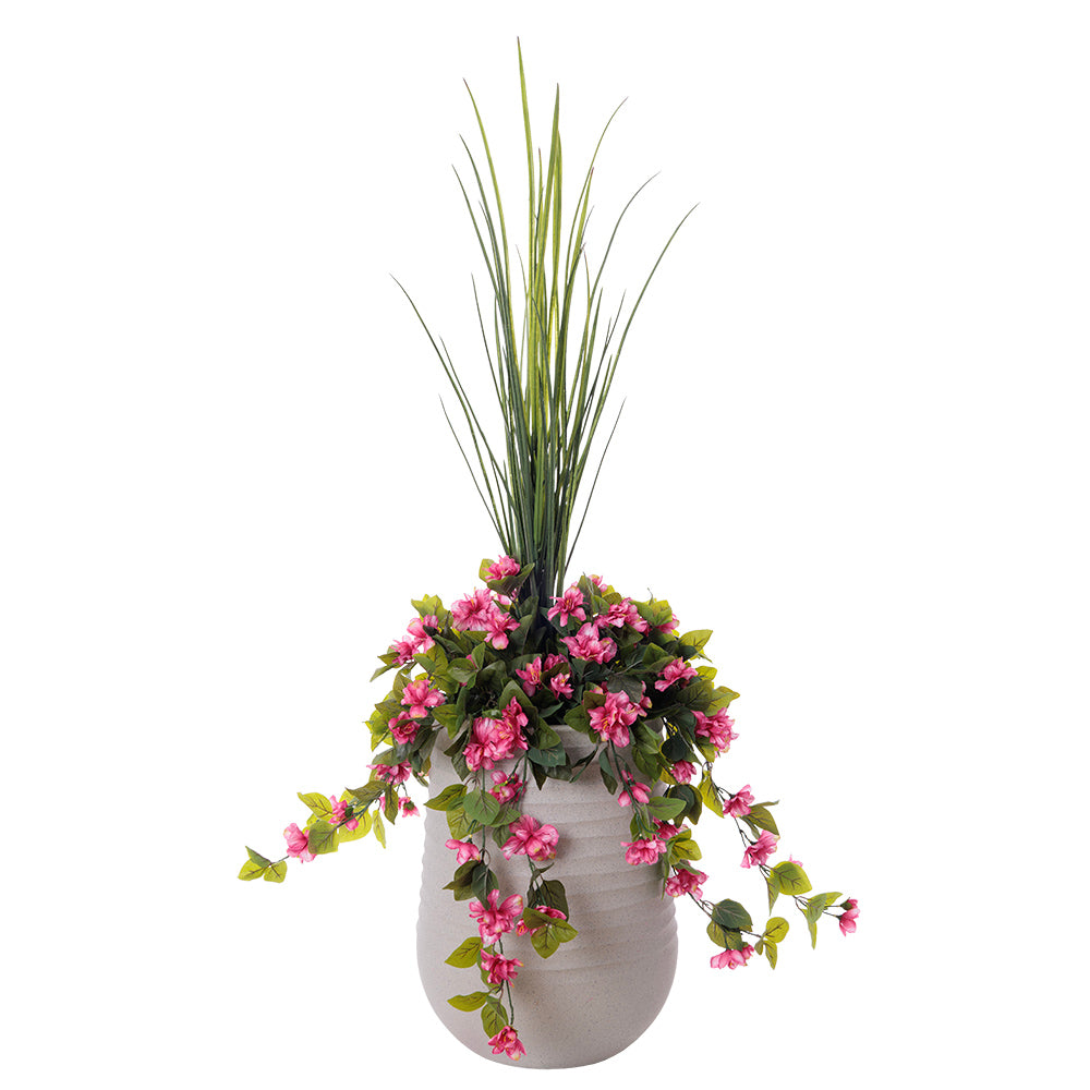 Jardinière d'Azalées Roses & Dracaena Pot Pâle