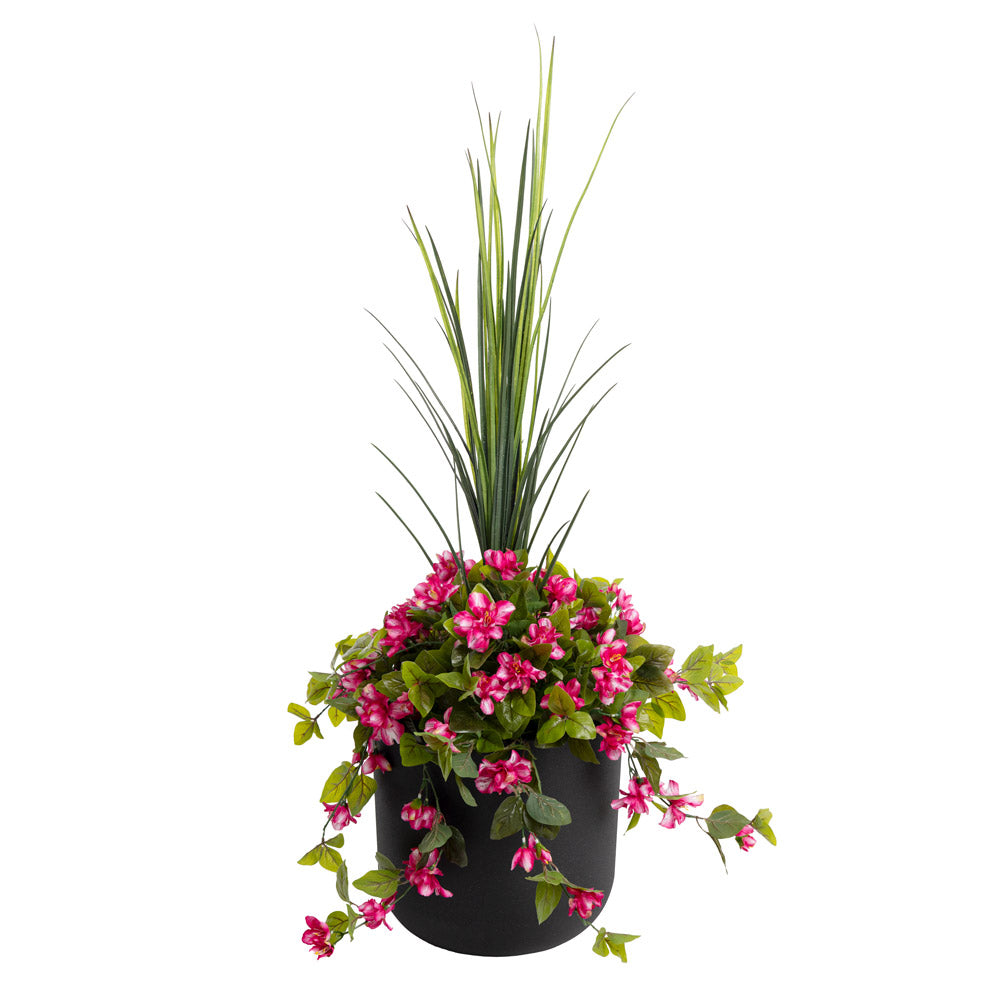 Jardinière d'Azalées Rose Pot Noir
