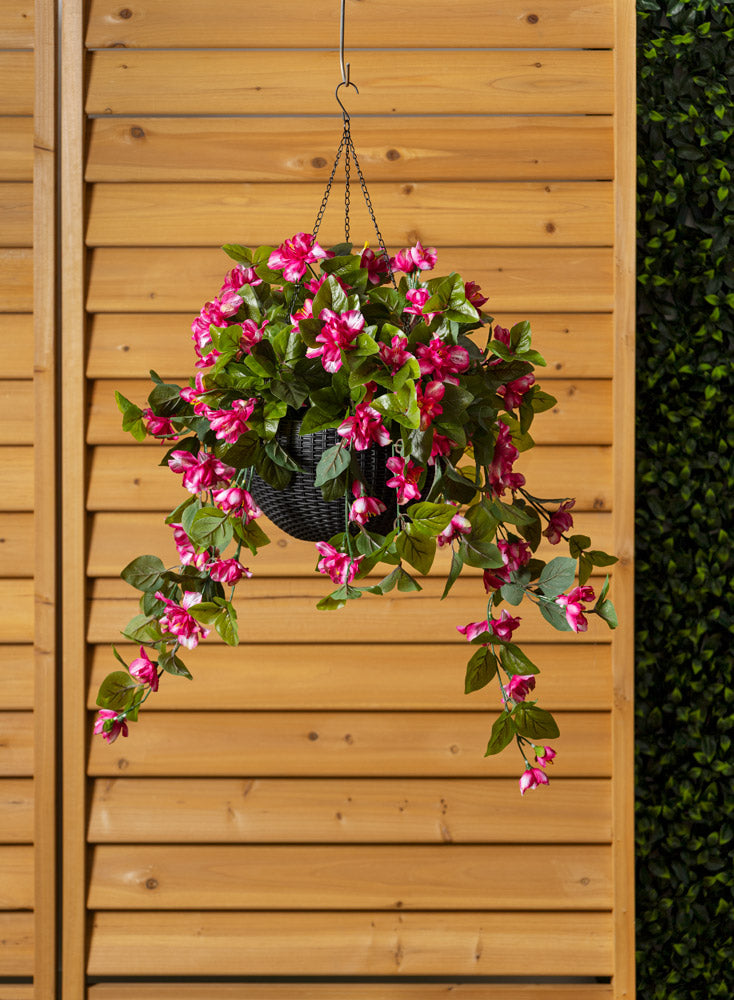 Jardinière d'Azalées Roses Panier Noir