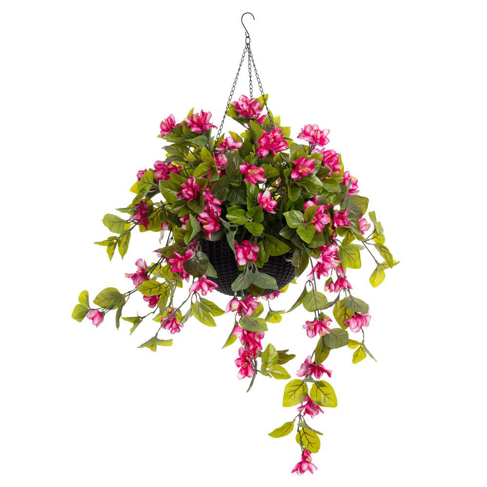 Jardinière d'Azalées Roses Panier Noir