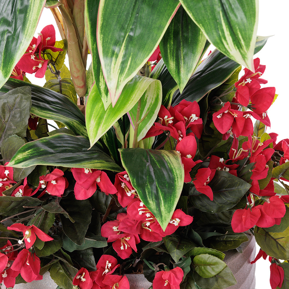 Jardinière Cordyline & Bougainvilliers Rouge Pot Noir Rond