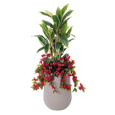 Jardinière Cordyline & Bougainvilliers Rouges Pot Pâle