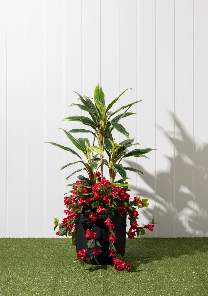 Jardinière Cordyline & Bougainvilliers Rouge Pot Noir Rond
