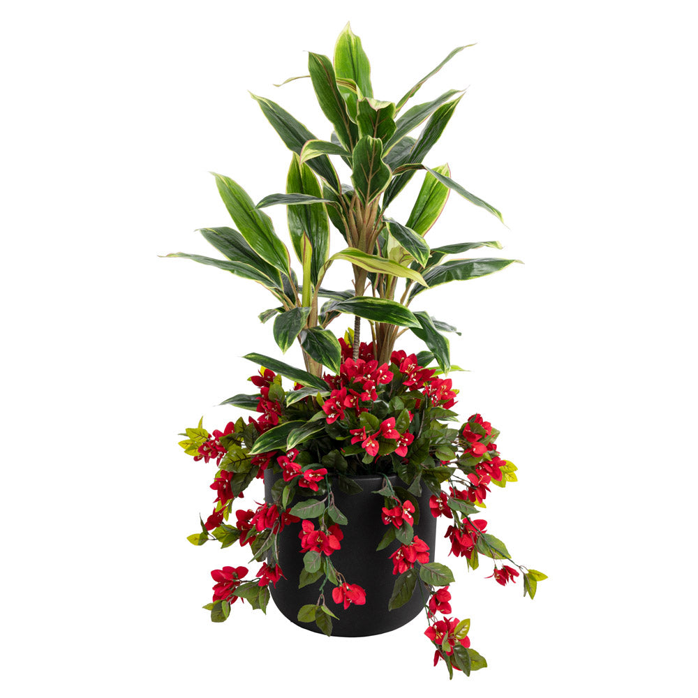 Jardinière Cordyline & Bougainvilliers Rouge Pot Noir Rond
