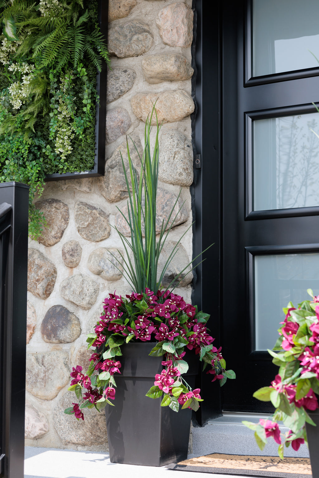 Jardinière de Bougainvilliers Mauves Pot Noir