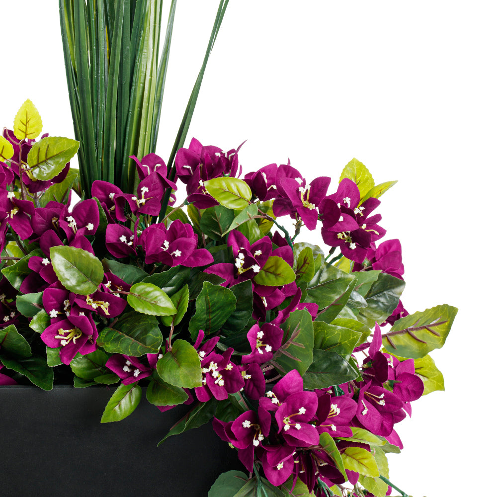 Jardinière de Bougainvilliers Mauves Pot Noir
