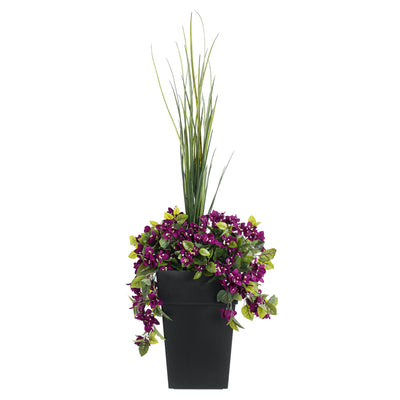 Jardinière de Bougainvilliers Mauves Pot Noir