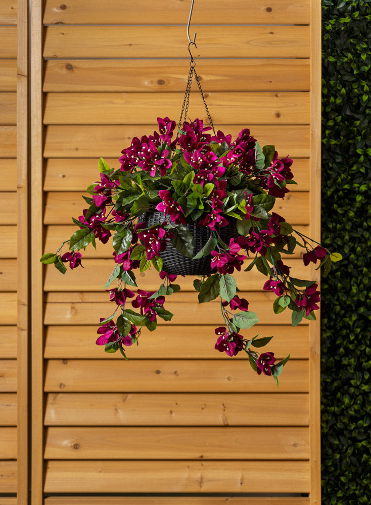 Jardinière de Bougainvilliers Mauves Panier Noir