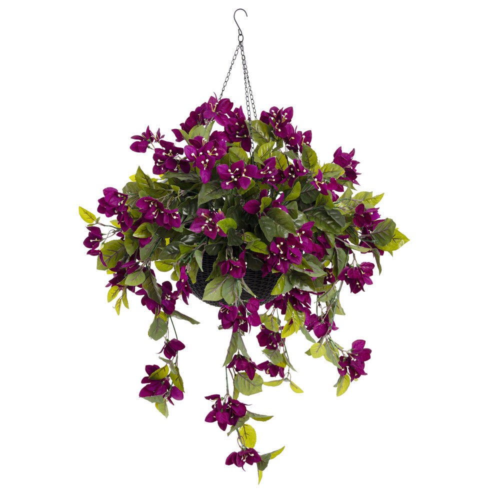 Jardinière de Bougainvilliers Mauves Panier Noir