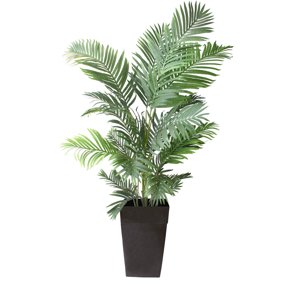 Palmier Areca Pot Noir