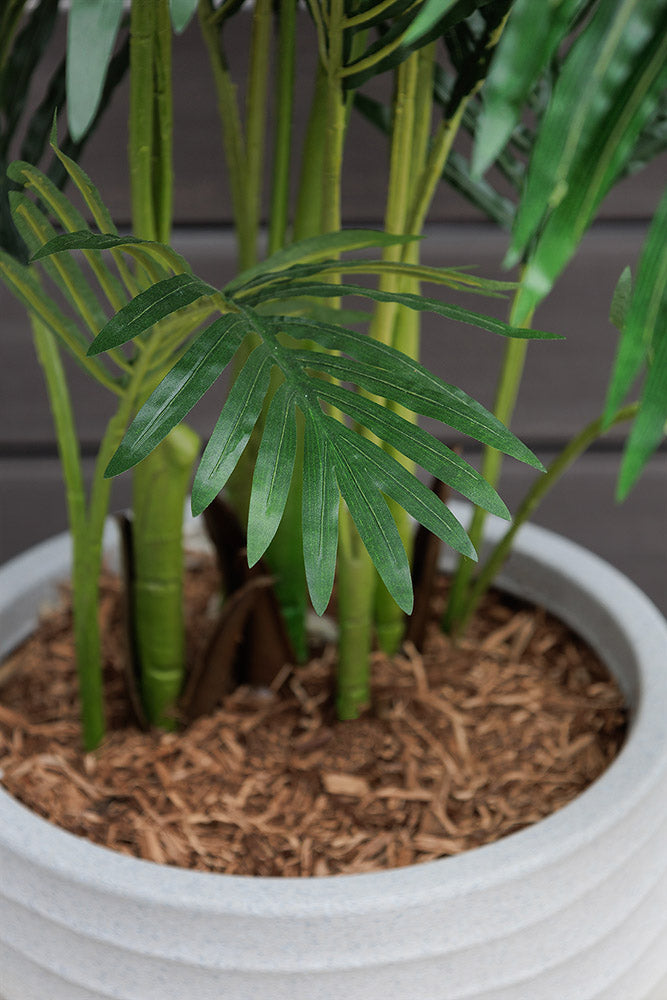 Palmier Areca Pot Noir