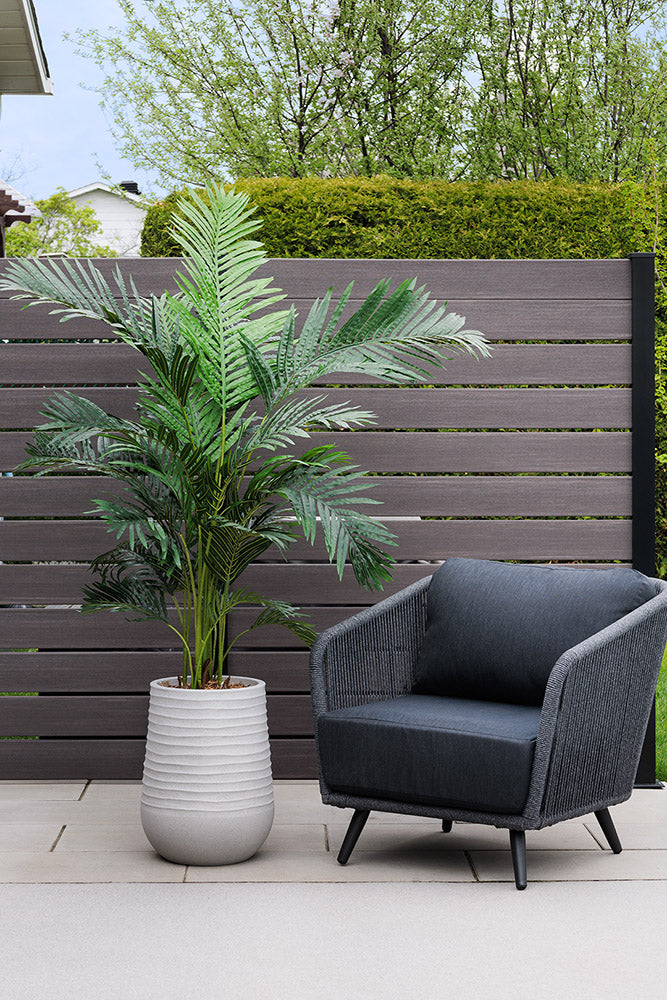 Palmier Areca Pot Pâle
