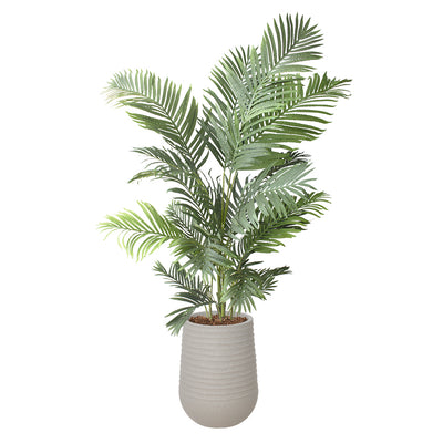 Palmier Areca Pot Pâle