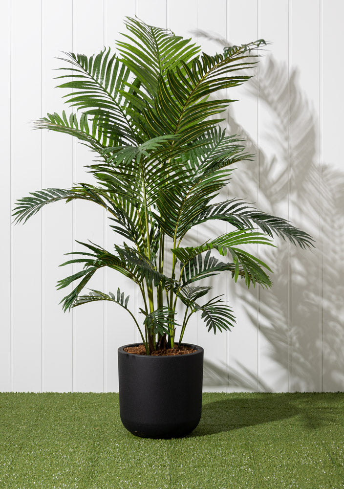 Palmier Areca Pot Noir