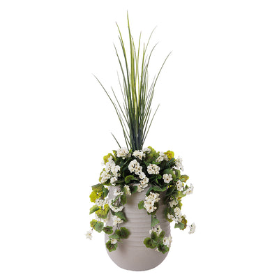 Jardinière de Géranium Blanc & Dracaena Pot Pâle