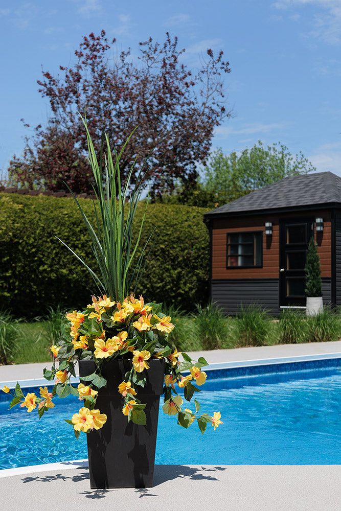 Jardinière d'Hibiscus Jaune Pot Noir