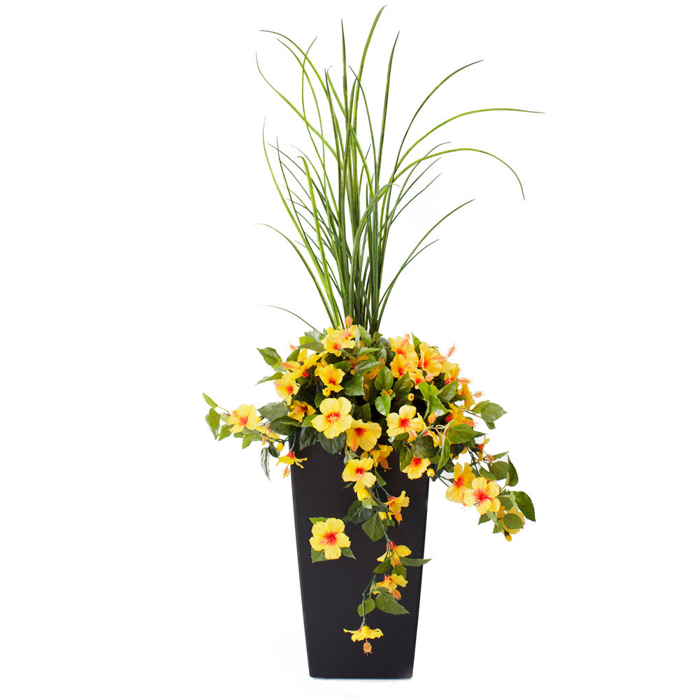 Jardinière d'Hibiscus Jaune Pot Noir