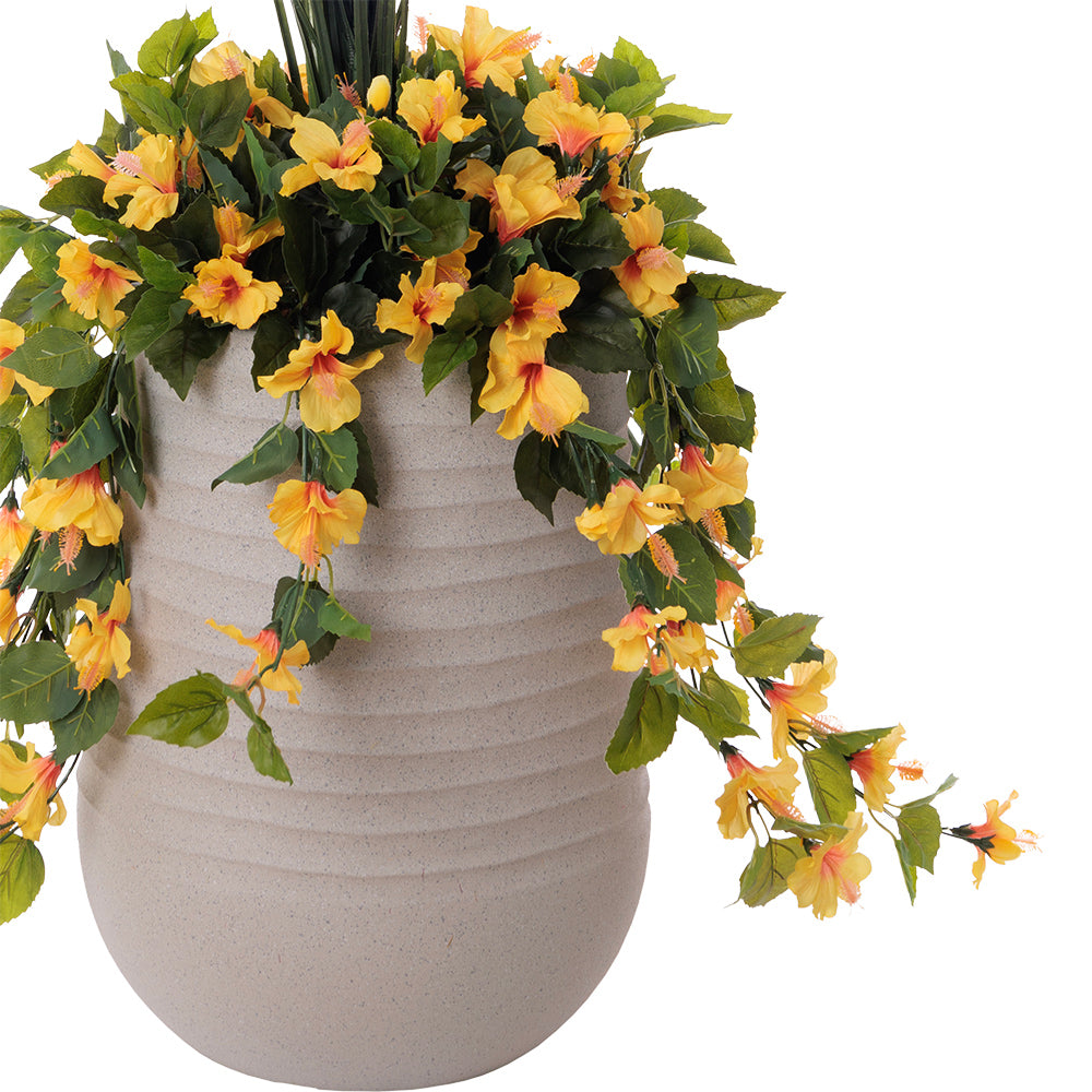 Jardinière d'Hibiscus Jaune & Dracaena Pot Pâle
