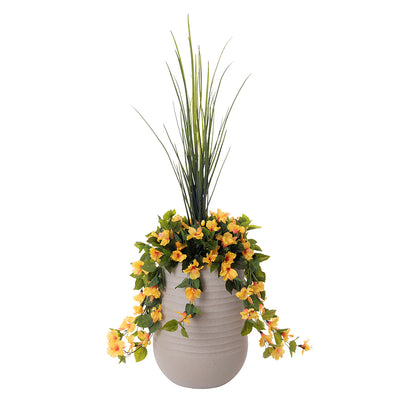 Jardinière d'Hibiscus Jaune & Dracaena Pot Pâle