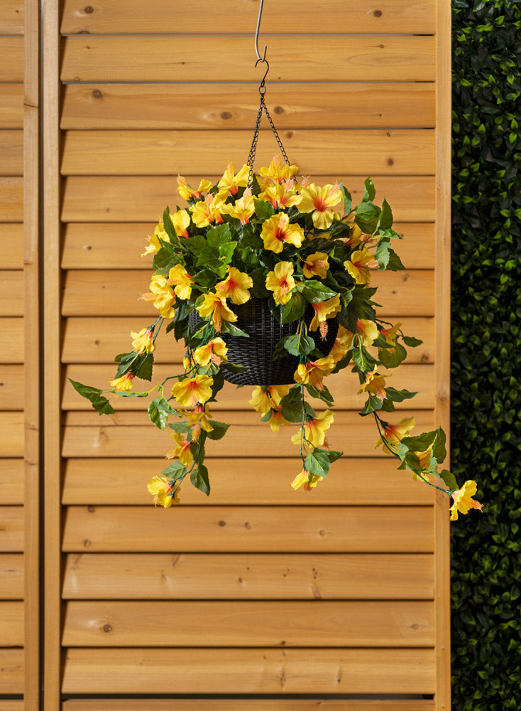Jardinière d'Hibiscus Jaunes Panier Noir