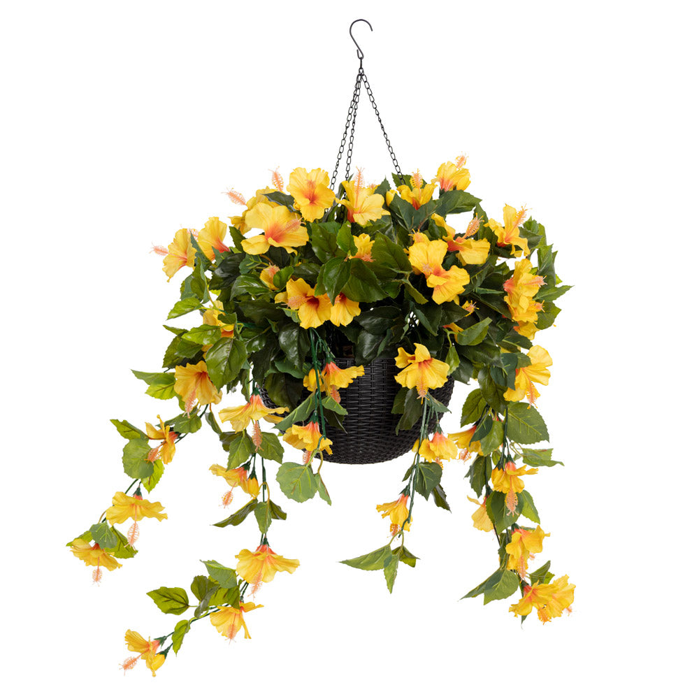 Jardinière d'Hibiscus Jaunes Panier Noir