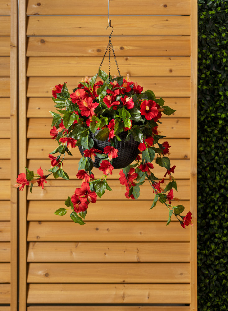 Jardinière d'Hibiscus Rouge Panier Noir