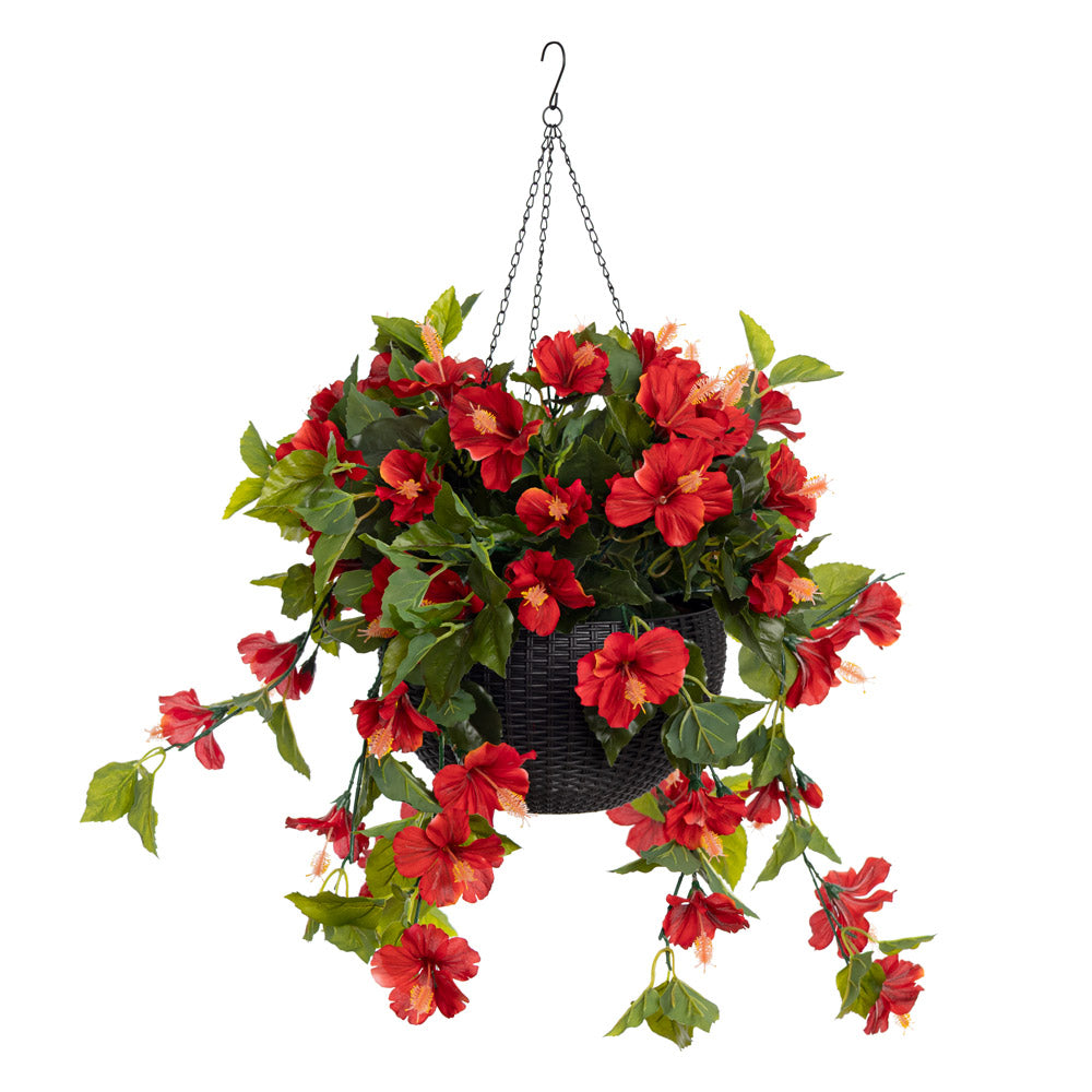 Jardinière d'Hibiscus Rouge Panier Noir