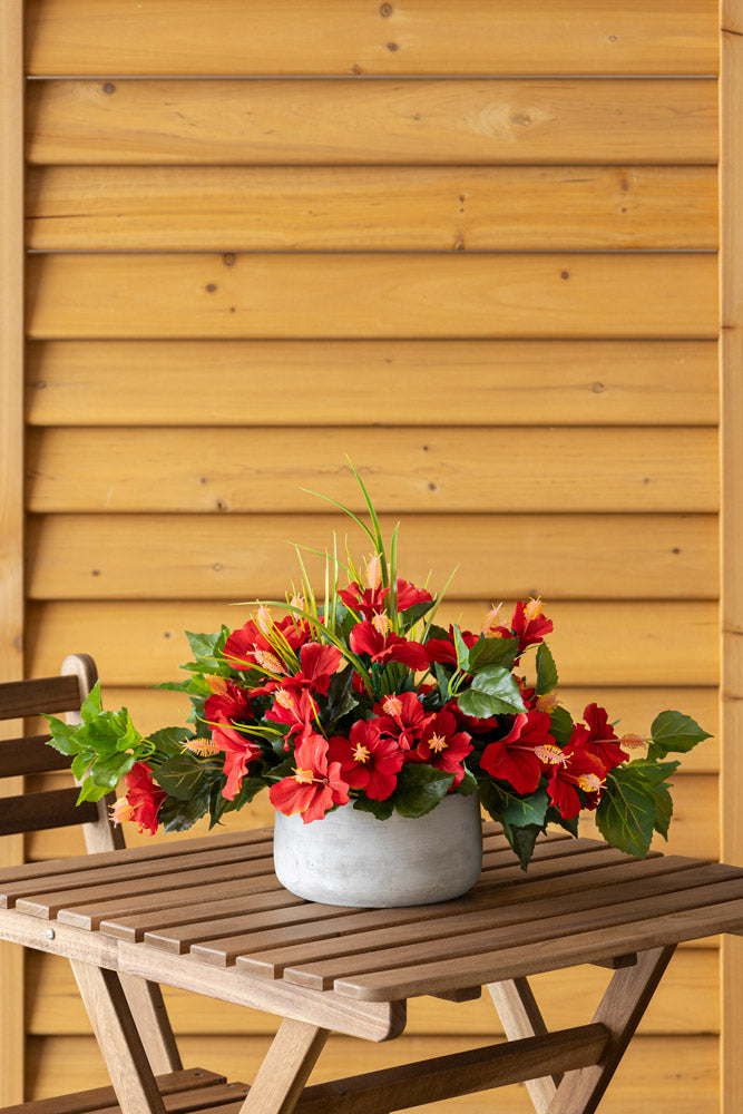 Centre de Table Hibiscus Rouges Pot Béton