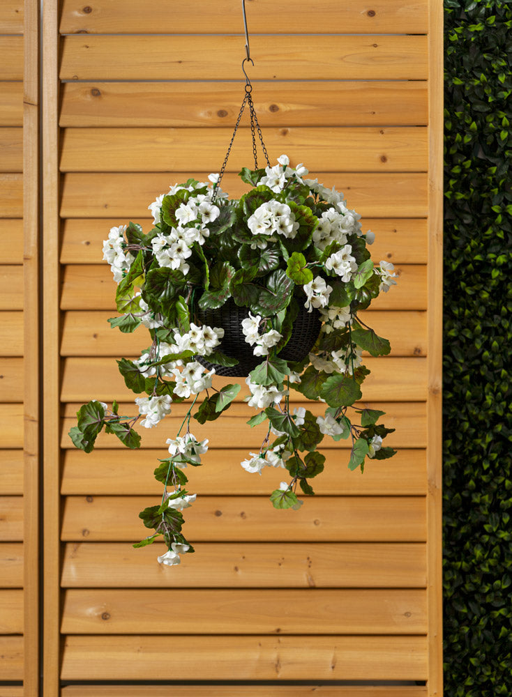 Jardinière de Géranium Blanc Panier Noir