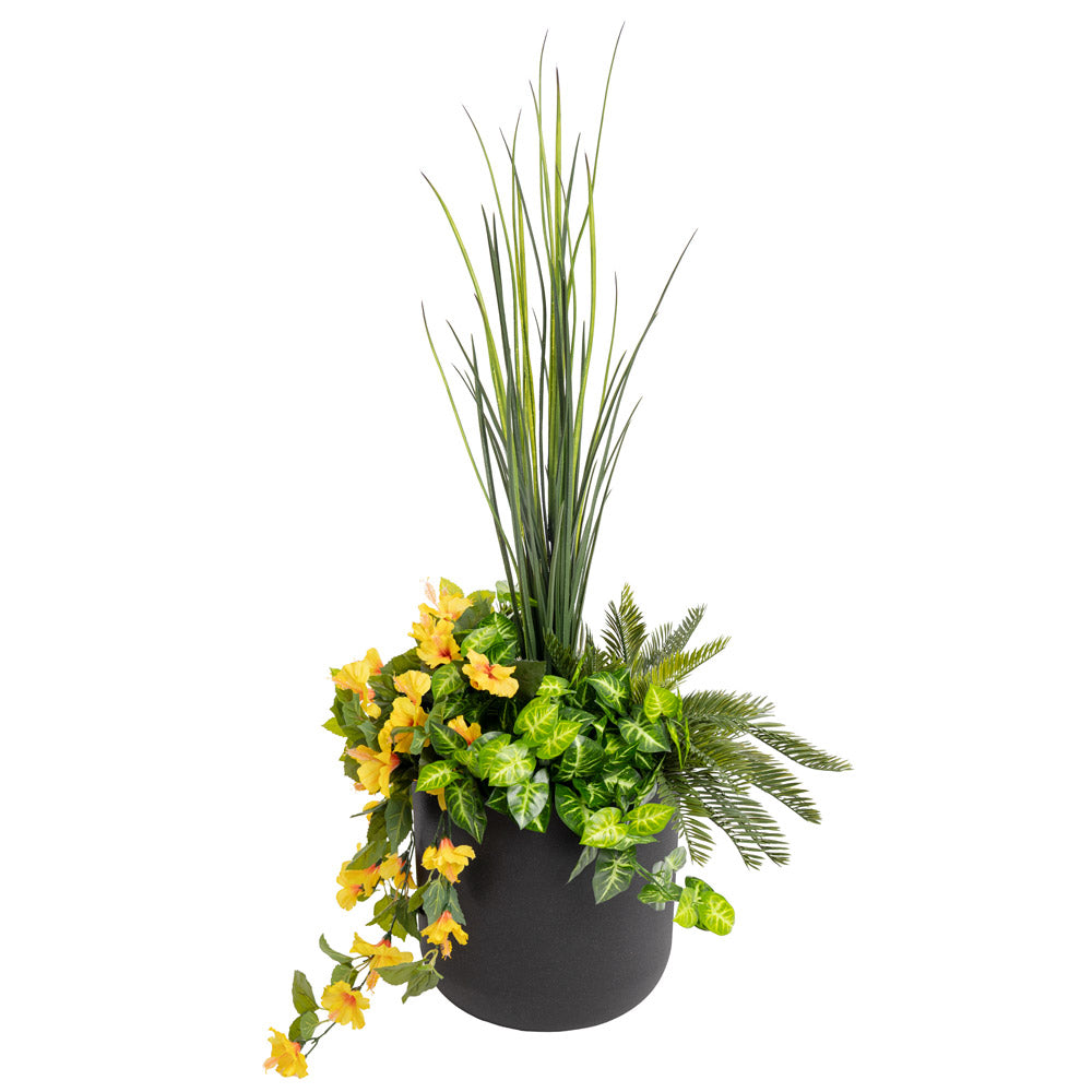 Jardinière d'Hibiscus Jaunes & Verdure Pot Noir Rond