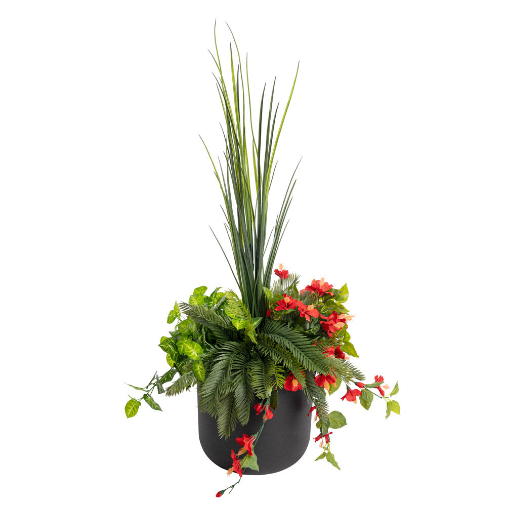 Jardinière d'Hibiscus Rouges & Verdure Pot Noir Rond