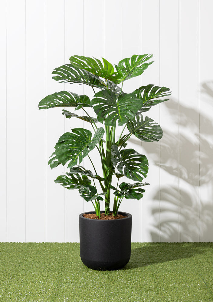 Jardinière de Monstera Pot Noir Rond