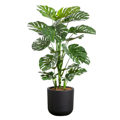 Jardinière de Monstera Pot Noir Rond