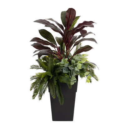 Jardinière Cordyline Bourgogne & Verdure Pot Noir
