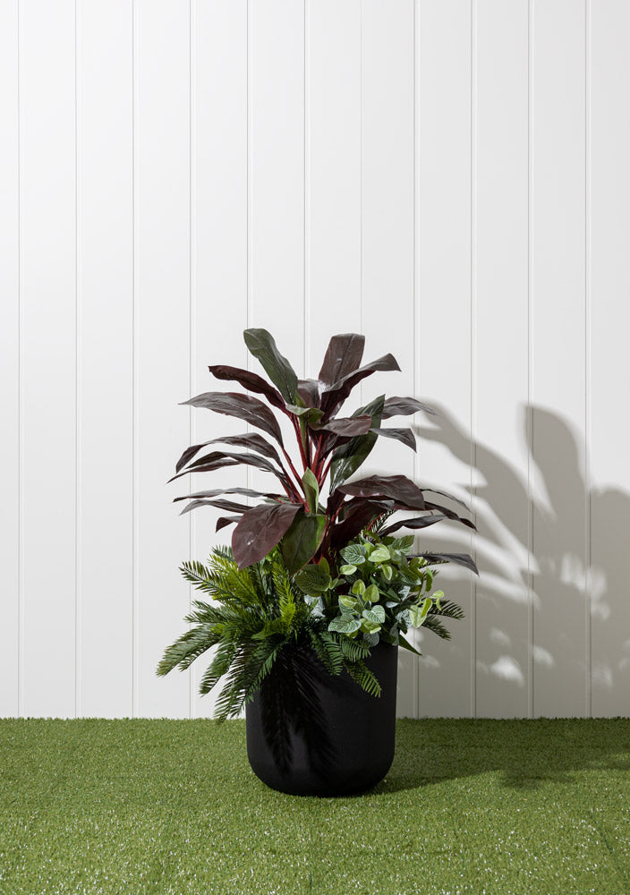 Jardinière Cordyline Bourgogne & Verdure Pot Noir