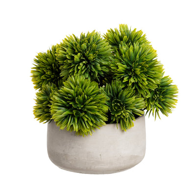 Centre de Table Boules Succulentes Pot Béton