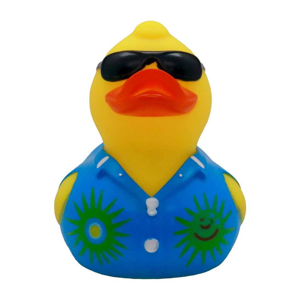 Canard Amusant (1)
